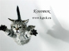 Интернет зоомагазин Коготок